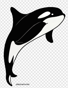 Orca PNG Transparent Images Download