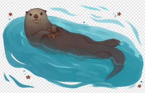 Otter PNG Transparent Images Download