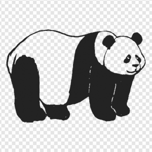 Panda Bear PNG Transparent Images Download