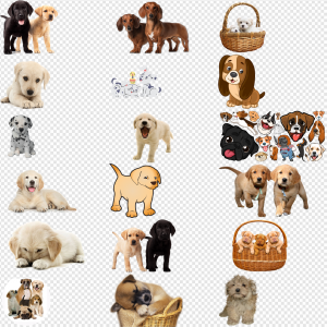 Puppy PNG Transparent Images Download