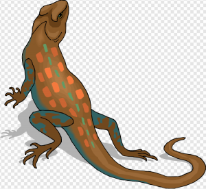 Reptile PNG Transparent Images Download