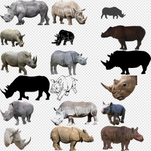 Rhinoceros PNG Transparent Images Download