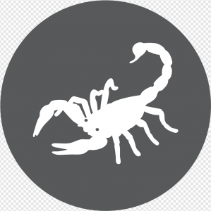 Scorpion Arachnid PNG Transparent Images Download