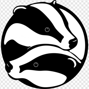 Stink Badger PNG Transparent Images Download