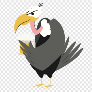 Vulture PNG Transparent Images Download