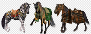 War Horse PNG Transparent Images Download