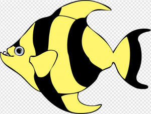 Zebra Fish PNG Transparent Images Download