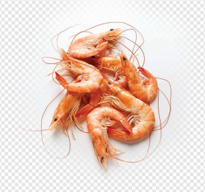 Shrimp PNG Transparent Images Download
