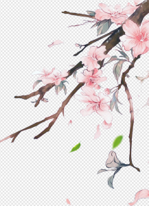 Chinese Art PNG Transparent Images Download