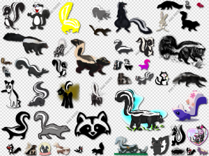 Skunk PNG Transparent Images Download