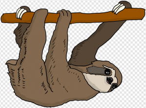 Sloth PNG Transparent Images Download