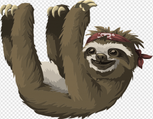 Sloth PNG Transparent Images Download