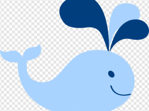 Whale PNG Transparent Images Download