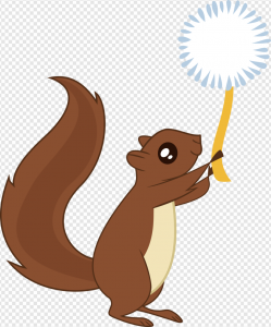 Squirrel PNG Transparent Images Download