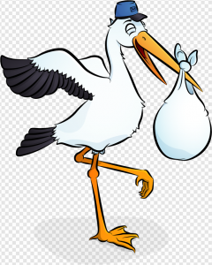 Stork PNG Transparent Images Download