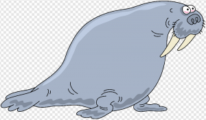 Walrus PNG Transparent Images Download