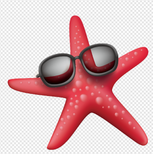Starfish PNG Transparent Images Download