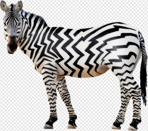 Zebra PNG Transparent Images Download