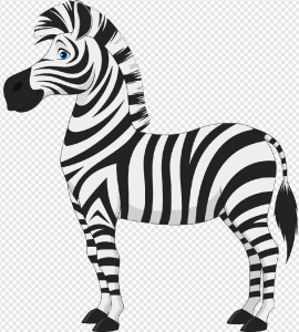 Zebra PNG Transparent Images Download