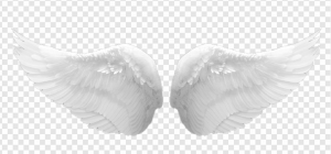Angel Wings PNG Transparent Images Download