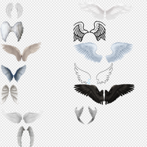 Angel Wings PNG Transparent Images Download