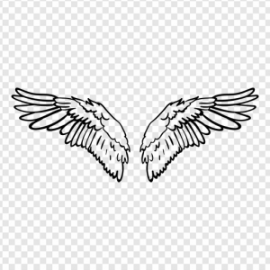 Angels Wing PNG Transparent Images Download