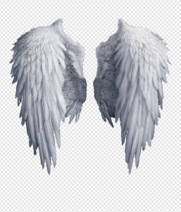 Angels Wing PNG Transparent Images Download