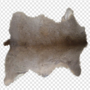Animal Fur PNG Transparent Images Download