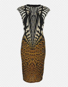 Animal Print Dress PNG Transparent Images Download