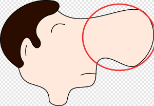 Nose PNG Transparent Images Download
