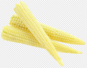 Baby Corn Cobs PNG Transparent Images Download