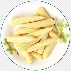 Baby Corn Cobs PNG Transparent Images Download