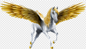 Pegasus PNG Transparent Images Download