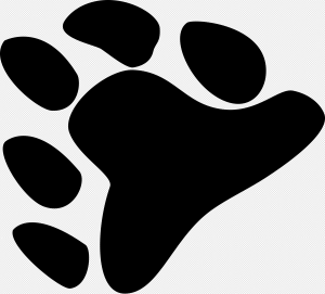 Bear Paw PNG Transparent Images Download