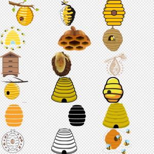 Beehive PNG Transparent Images Download