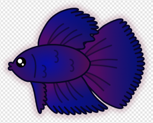 Betta Fish PNG Transparent Images Download