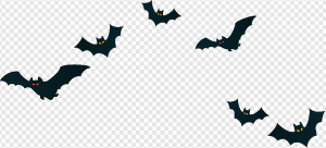 Bat PNG Transparent Images Download
