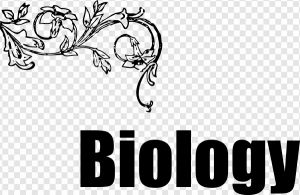 Biology PNG Transparent Images Download