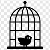 Bird Cage PNG Transparent Images Download