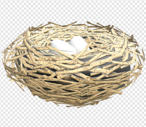 Bird Nest PNG Transparent Images Download