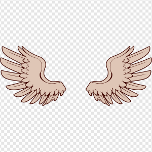 Bird Wings PNG Transparent Images Download