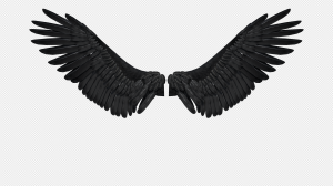 Bird Wings PNG Transparent Images Download