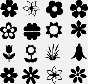 Black And White Flower PNG Transparent Images Download