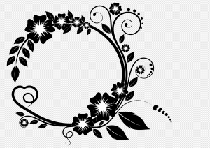 Black And White Flowers PNG Transparent Images Download