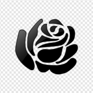 Black And White Roses PNG Transparent Images Download