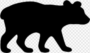 Black Bear PNG Transparent Images Download