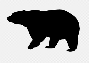 Black Bear PNG Transparent Images Download
