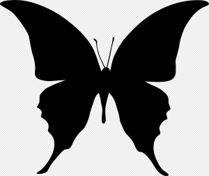 Black Butterfly PNG Transparent Images Download