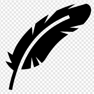 Black Feathers PNG Transparent Images Download