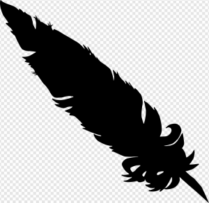 Black Feathers PNG Transparent Images Download